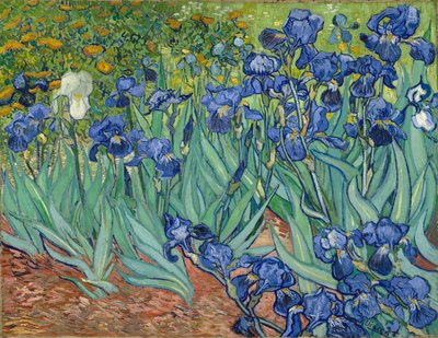 Iris by Vincent van Gogh